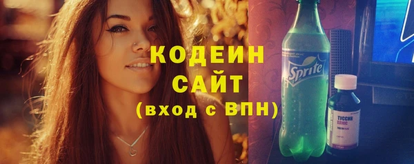 гашик Козельск