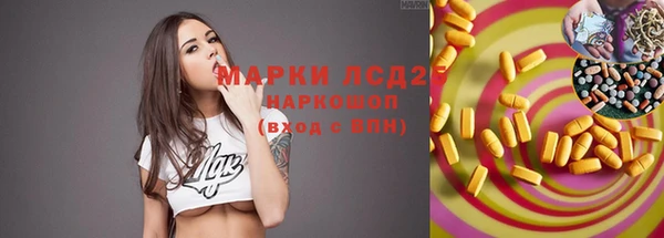 СК Кодинск