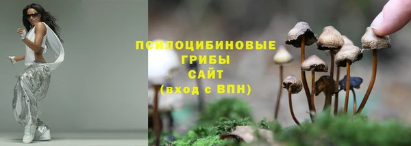 apvp Киренск