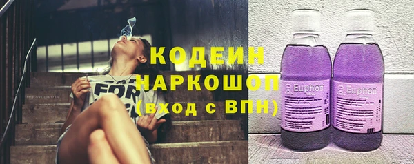 гашик Козельск